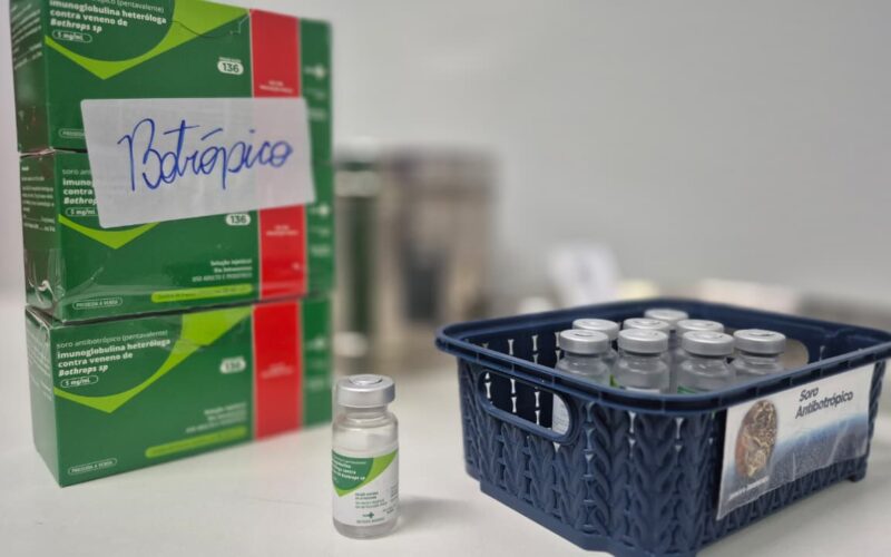 Saúde orienta sobre primeiros socorros em casos de picadas de cobra