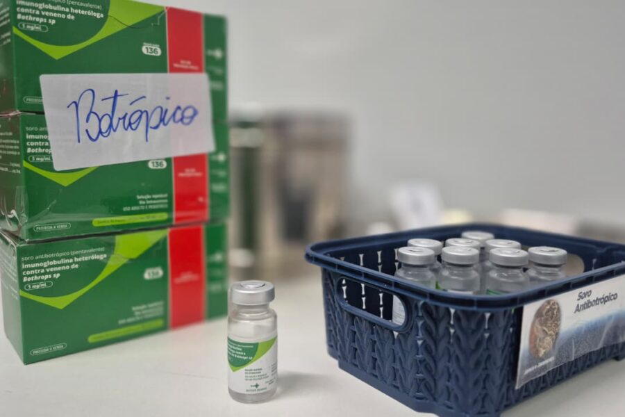 Saúde orienta sobre primeiros socorros em casos de picadas de cobra