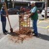 Programa Goiânia + Verde facilita plantio de árvores em calçadas