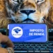 A 11 dias do fim do prazo, 40% não enviaram declaração do IRPF