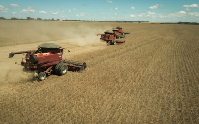 Balança comercial de Goiás registra superávit de US$ 803 milhões
