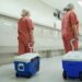 Doações de órgãos em Goiás beneficiam 64 pacientes em maio