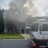 Cachorro aciona torradeira por acidente e incêndio destrói casa nos Estados Unidos