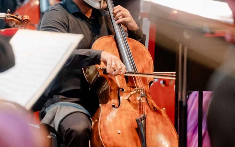 Orquestra Sinfônica de Goiânia apresenta Cinema In Concert com trilhas internacionais