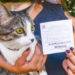Campanha de Vacinação Antirrábica 2026 imuniza 74 mil cães e gatos contra raiva em Goiânia