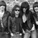 Goiânia recebe festa em homenagem aos 50 anos dos Ramones com atrações internacionais