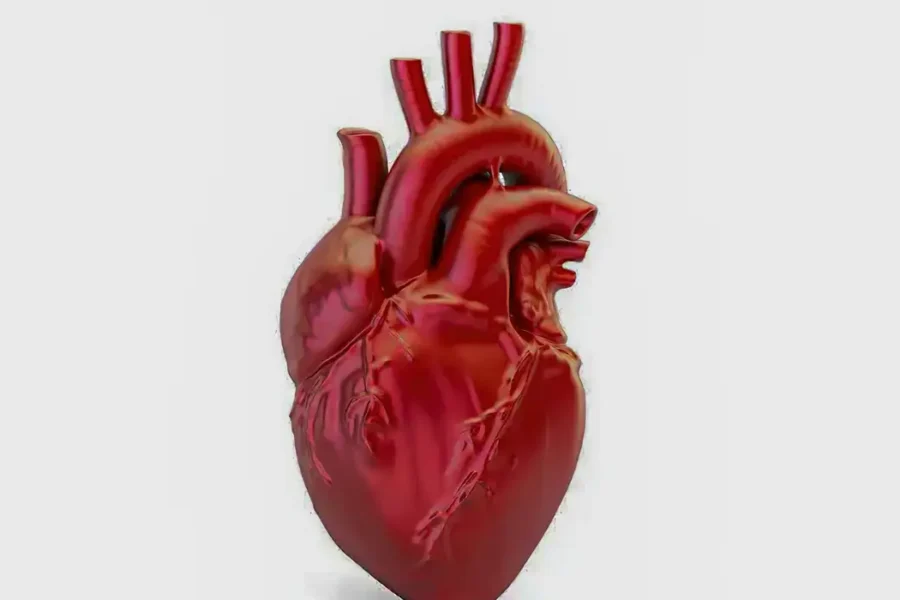 A cada 72 segundos, uma pessoa morre por doença cardiovascular no país