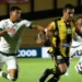 Goiás perde pênalti e é goleado pelo Novorizontino na Série B